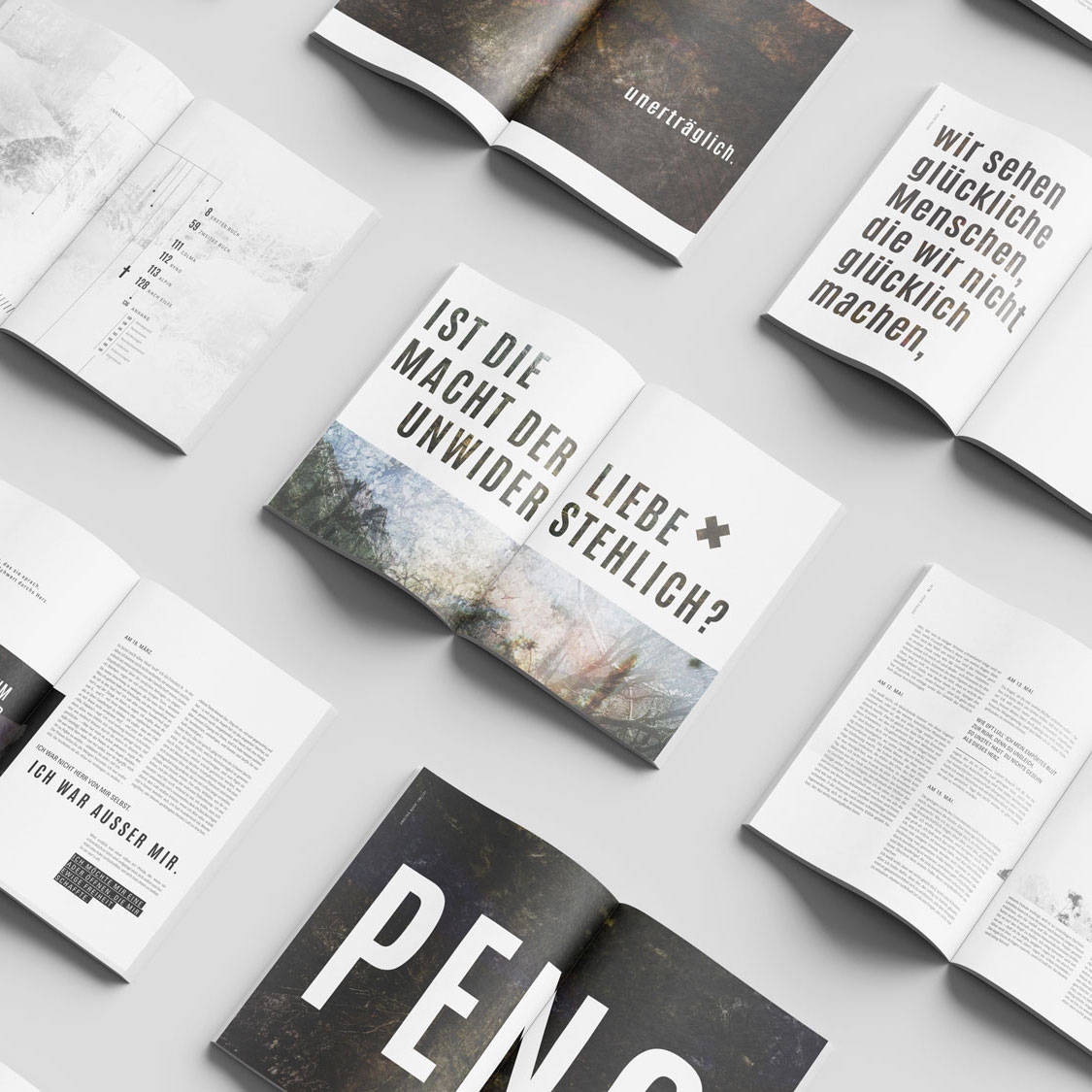 Editorial Design Magazin Grafikdesign Gestaltung Herzblut Buch